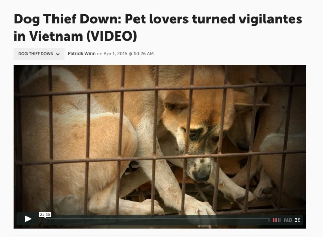 dogs vietnam